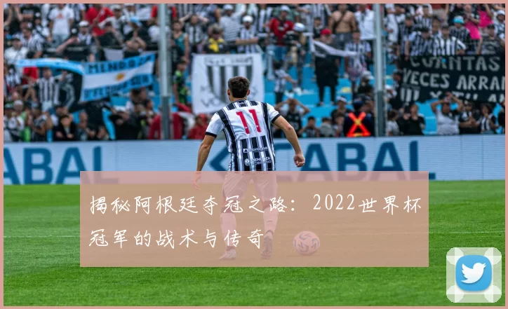 揭秘阿根廷夺冠之路：2022世界杯冠军的战术与传奇