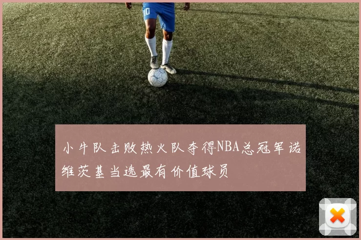 小牛队击败热火队夺得NBA总冠军诺维茨基当选最有价值球员