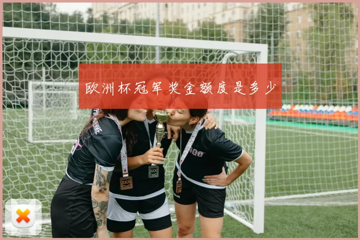 欧洲杯冠军奖金额度是多少