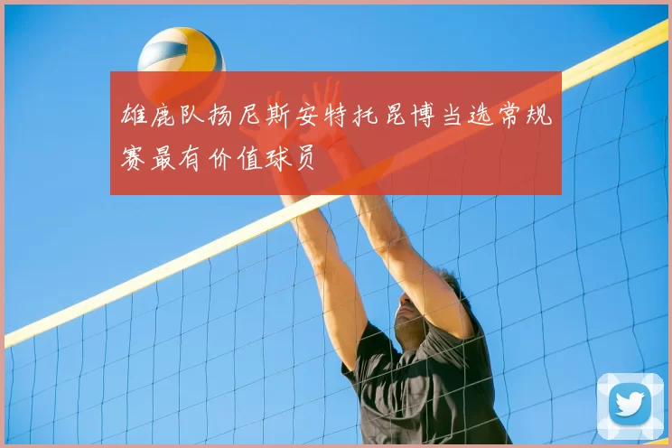 雄鹿队扬尼斯安特托昆博当选常规赛最有价值球员
