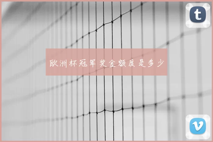 欧洲杯冠军奖金额度是多少